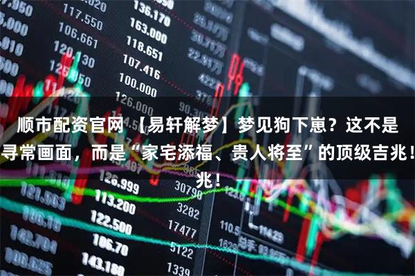 顺市配资官网 【易轩解梦】梦见狗下崽？这不是寻常画面，而是“家宅添福、贵人将至”的顶级吉兆！